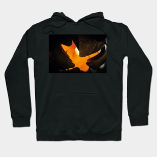 Orange splash Hoodie